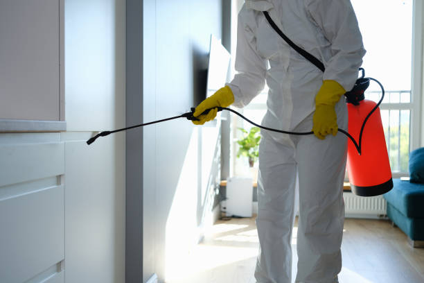 Best DIY Mold Remediation Support Services in Gouldtown, NJ