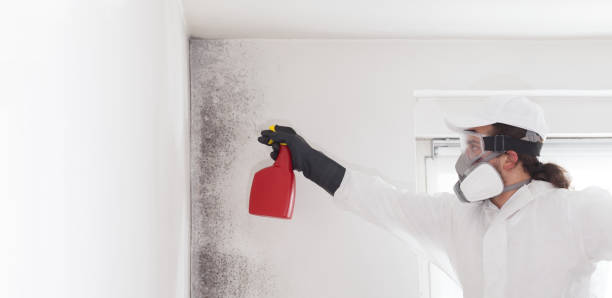 Best Post-Remediation Services in Gouldtown, NJ