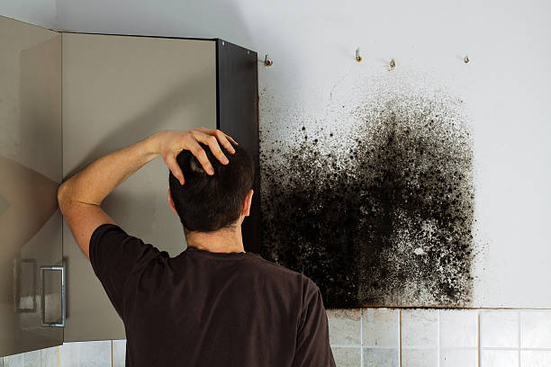 Best Residential Mold Remediation in Gouldtown, NJ